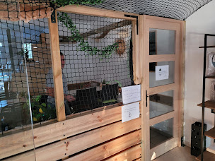 Photo n°27 de Mouans Chatoux - Café à chats à Mouans-Sartoux ()