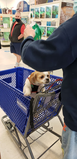 Pet Supply Store «PetSmart», reviews and photos, 30 Malphrus Rd, Bluffton, SC 29910, USA