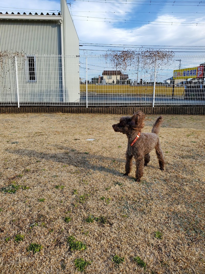 あい動物病院