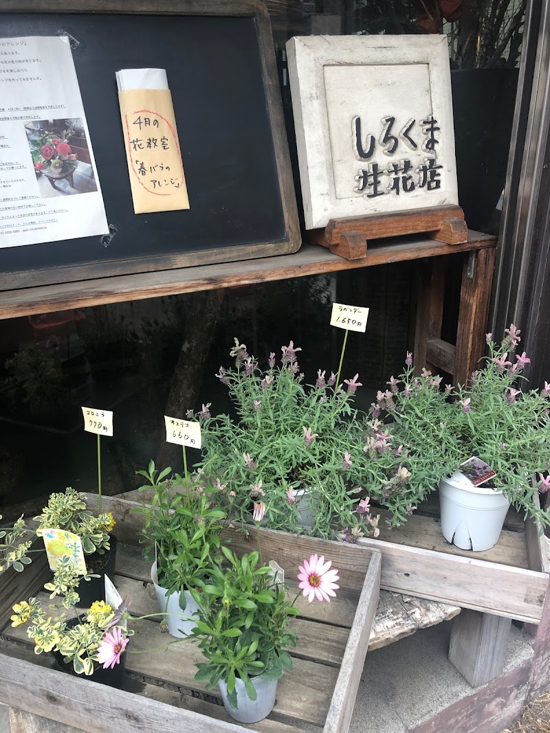 しろくま生花店