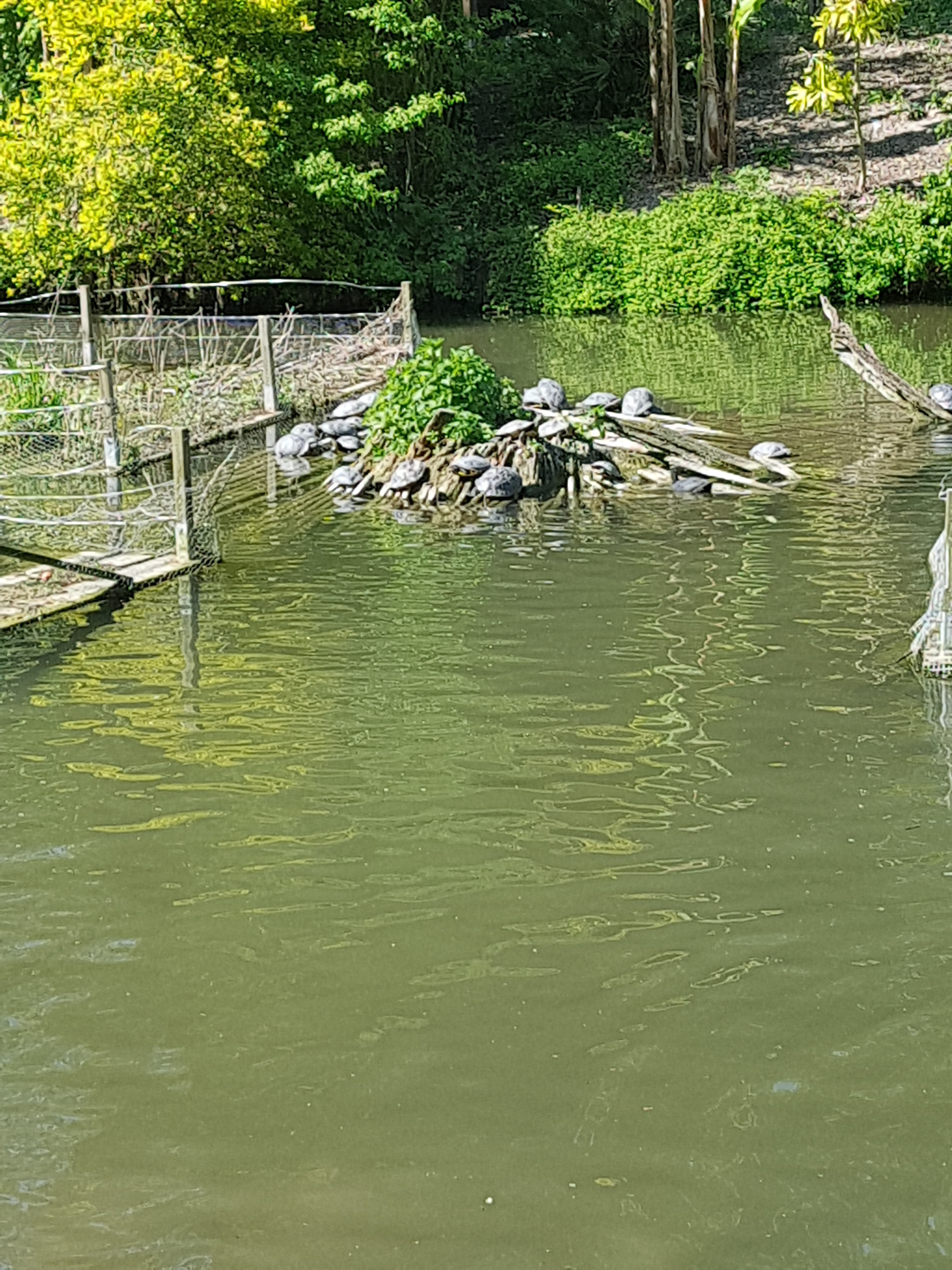 Photo n° 28 de l'avis de Celia.a fait le 30/04/2019 à 08:20