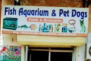 Fish aquarium and pet dog image