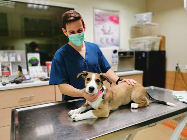 Κρέμου 9, Καλλιθέα 176 76