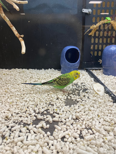 Pet Supply Store «PetSmart», reviews and photos, 4120 E 4th St, Ontario, CA 91764, USA