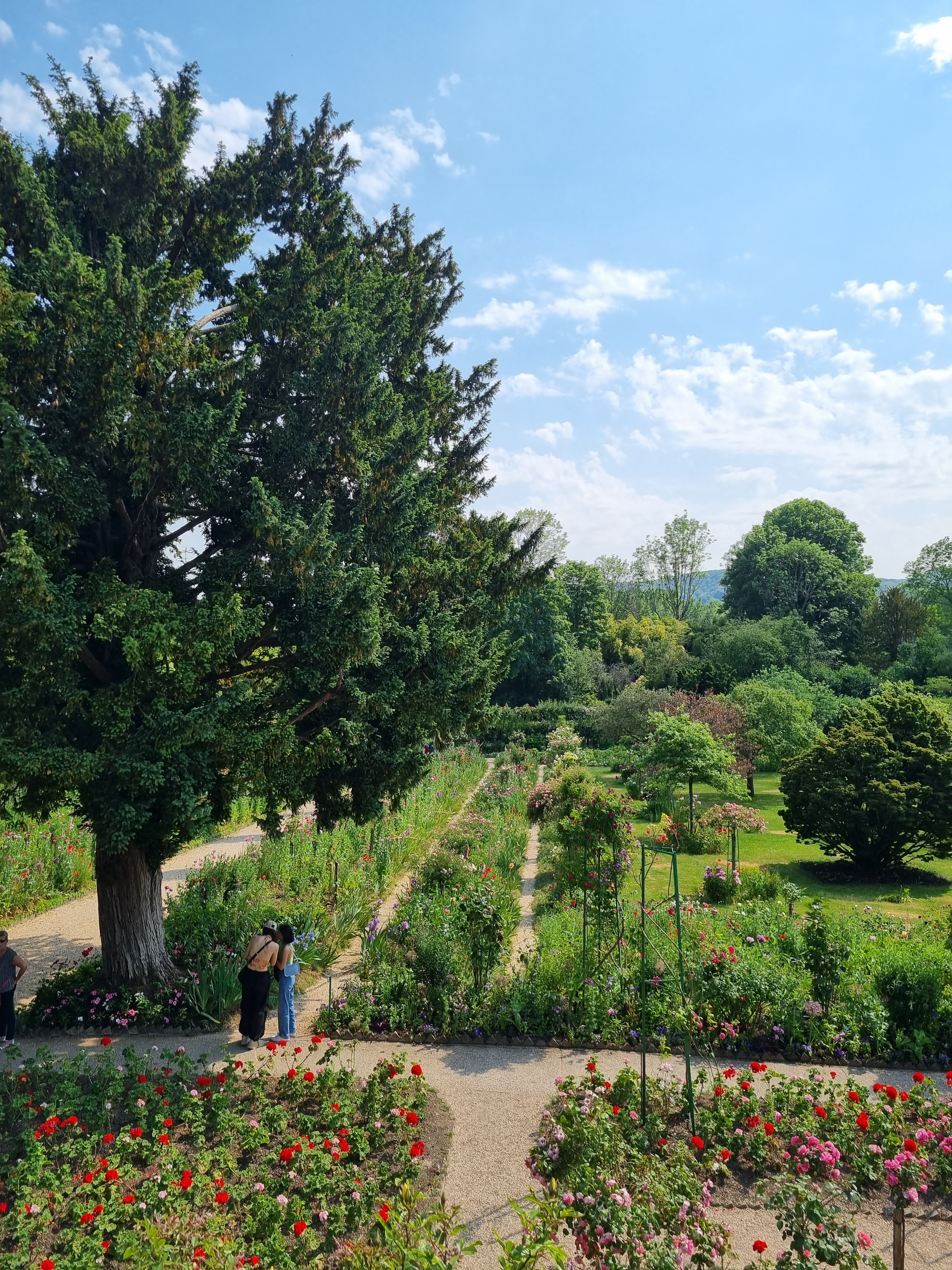 Photo n° 15 de l'avis de Sabine.o fait le 13/06/2023 à 19:16