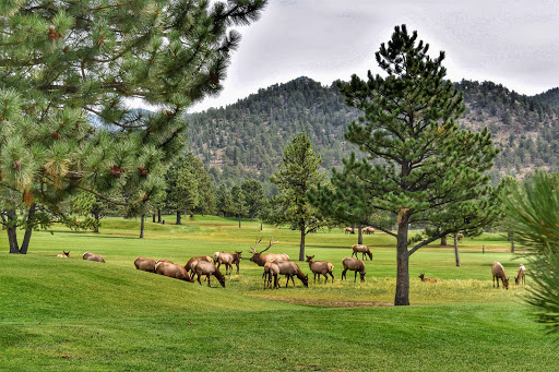 Golf Course «Estes Park Golf Course», reviews and photos, 1480 Golf Course Rd, Estes Park, CO 80517, USA