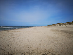 Foto von Nymindegab Beach mit lange, gerade küste