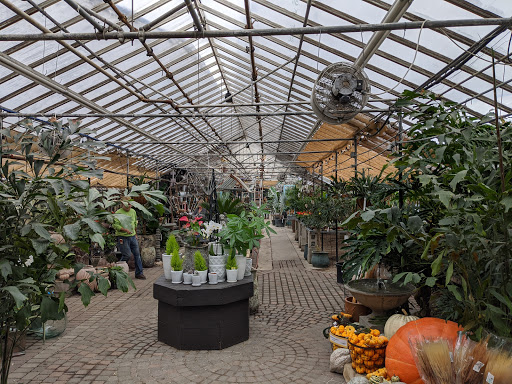 Plant Nursery «Goldner Walsh Garden and Home», reviews and photos, 559 Orchard Lake Rd, Pontiac, MI 48341, USA