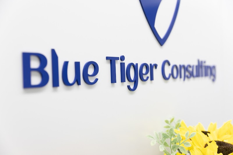 Blue Tiger Consulting