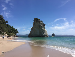 Cathedral Cove Beach'in fotoğrafı ve güzel manzarası