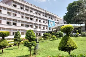 Indira Gandhi Institute Of Child Health image