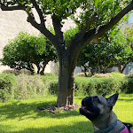 Photo n°3 de l'avis de Jack.p fait le 01/08/2021 à 15:58 sur le  Palazzo Ducale Venturi - Luxury Relais & Wellness à Minervino di Lecce