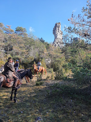 Ferme Equestre Les Pelissiers à Millau