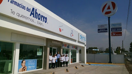 Farmacia Del Ahorro, , Guerrero