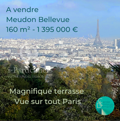Consultant immobilier Carole Limouzy Issy-les-Moulineaux à Issy-les-Moulineaux