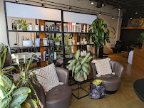 Wise Rose Beauty - Photo 4 - Car repair in Winooski, VT, Burlington