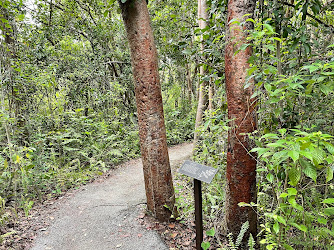 Gumbo Limbo Trail