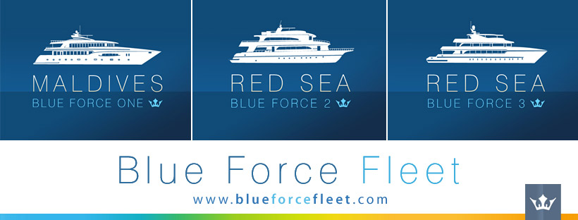 Blue Force Fleet