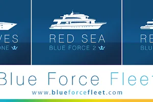 Blue Force Fleet image