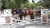 Best Pony Riding Places In Miami Near You