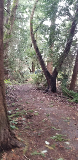 Park «Westcrest Park», reviews and photos, 9000 8th Ave SW, Seattle, WA 98106, USA