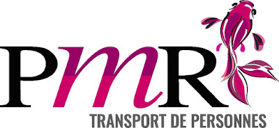 PMR Transport Du Rhone à Lyon