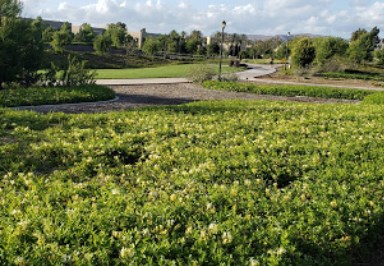 City Government Office «City of Irvine; Cypress Community Park», reviews and photos, 255 Visions, Irvine, CA 92618, USA