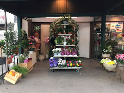 Les Fleurs de Marie-Antoinette (SARL Groszman) à Paris
