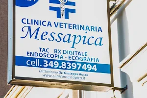 clinica veterinaria messapica del Dottore Russo image