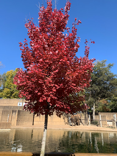 Zoo «Memphis Zoo», reviews and photos, 2000 Prentiss Pl, Memphis, TN 38112, USA