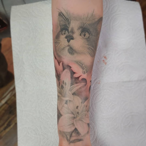 Explore cheshire cat tattoo ideas, creative tattoo ideas in Eureka, available at WESTSLOPE TATTOO