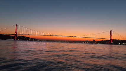 Istanbul Bosphorus Cruise Organizations
