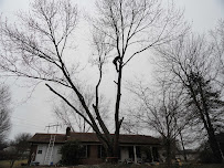 Top Notch Tree - Photo 3 - Car repair in , Asheville