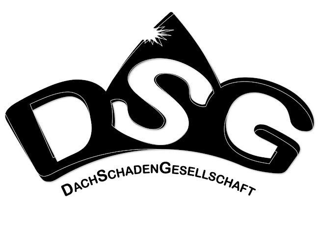Rezensionen über DSG - Dachschadengesellschaft, Theater-Verein Olten in Oftringen - Kulturzentrum