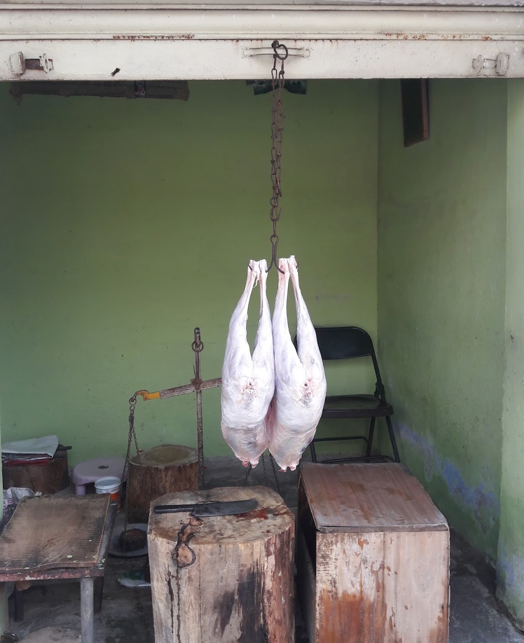 Tasty Mutton House