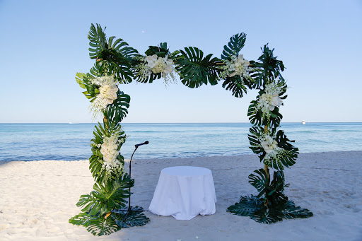 Florist «Pistils & Petals», reviews and photos, 1060 Alton Rd, Miami Beach, FL 33139, USA