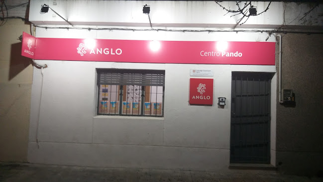 Instituto Anglo