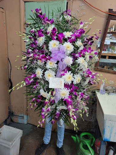 Dillon & Son Florists, 180 Boston Ave, Stratford, CT 06614, USA, 