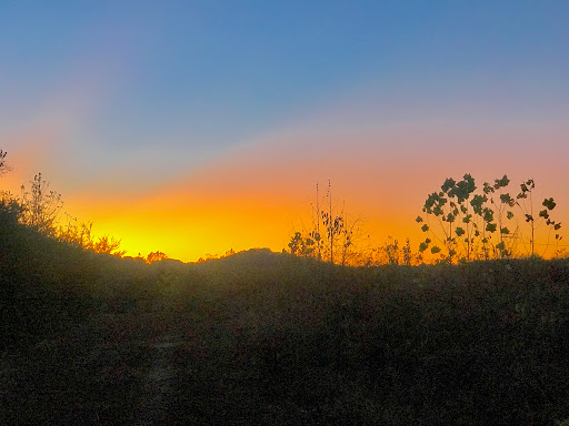 Bell’s Bend MTB Trails