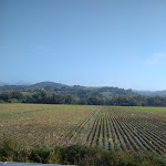 Photo n°6 de l'avis de Oleg.o fait le 27/10/2019 à 15:15 sur le  La Valserena Ristorante Pizzeria Braceria à Monteroni d'Arbia