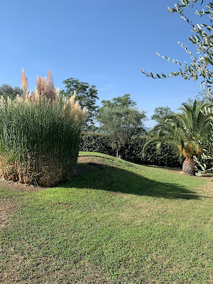 SARL Garden Elague à Grasse