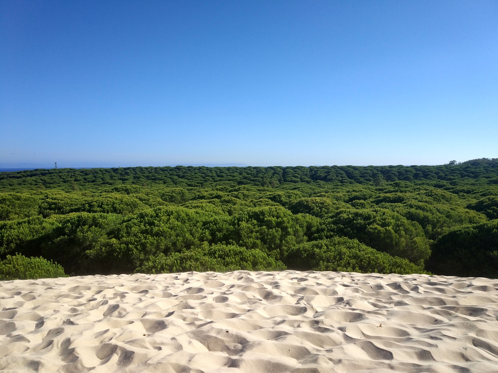 Playa Bolonia photo #6
