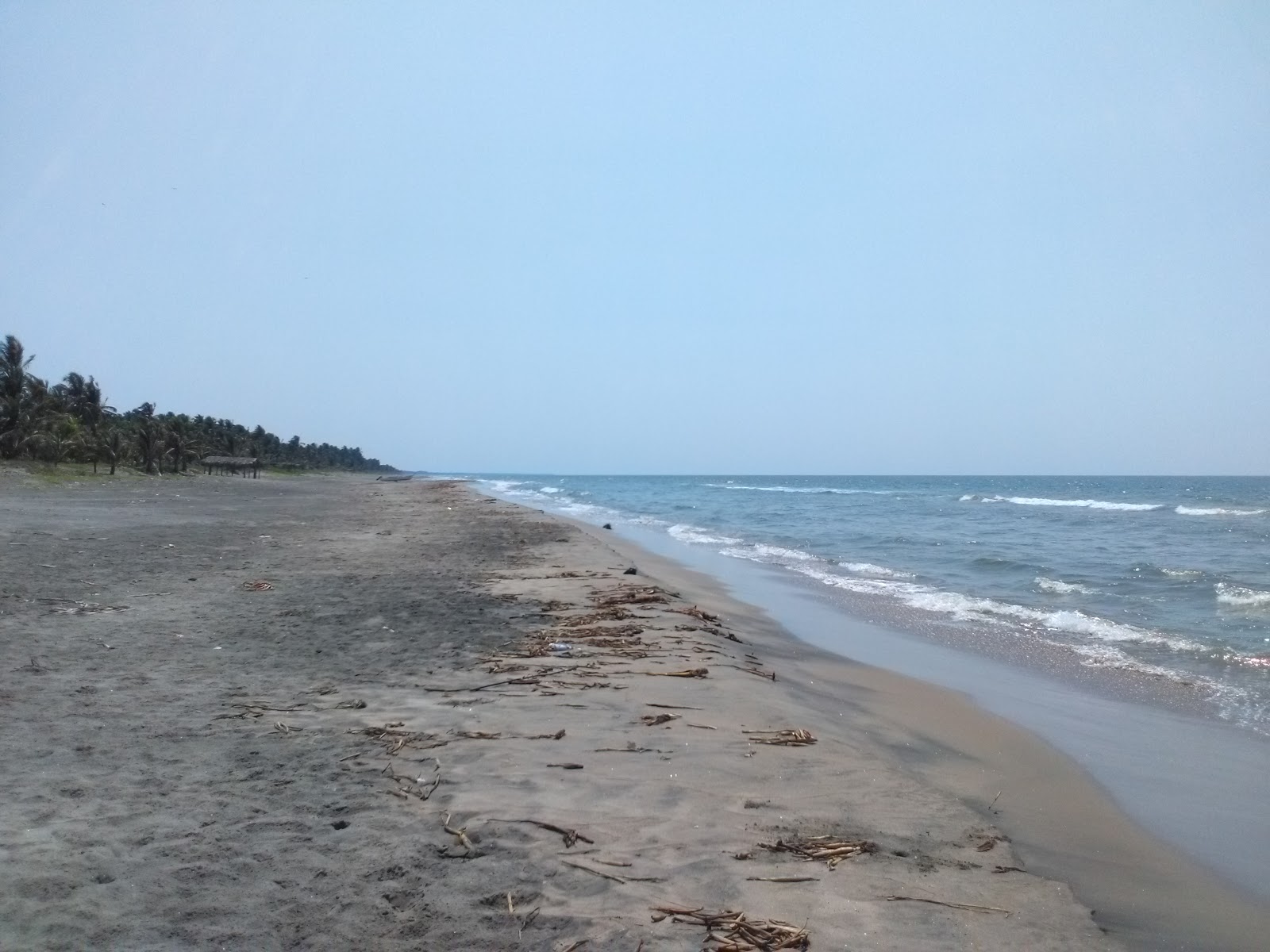 Photo of Playa Villa Cuahutemos with long straight shore