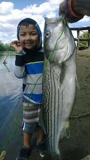 Bait Shop «Elkhorn Outdoor Sports», reviews and photos, 6745 20th St, Rio Linda, CA 95673, USA