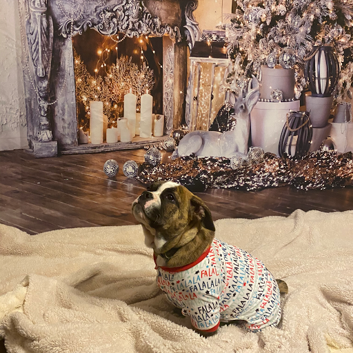 Used Car Dealer «Below Bluebook Autos LLC», reviews and photos, 2451 Paxton St, Harrisburg, PA 17111, USA