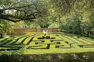Palace Gardens image
