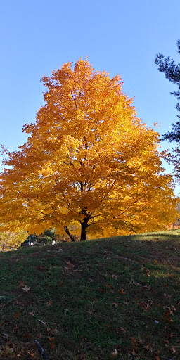 Park «Hawthorn Park», reviews and photos, 6195 Sunny Spring, Columbia, MD 21044, USA