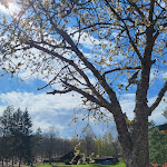 Photo n°4 de l'avis de Ryu. fait le 04/10/2021 à 18:56 sur le  Forsthaus Annweiler am Trifels · Schwarzer Fuchs à Annweiler