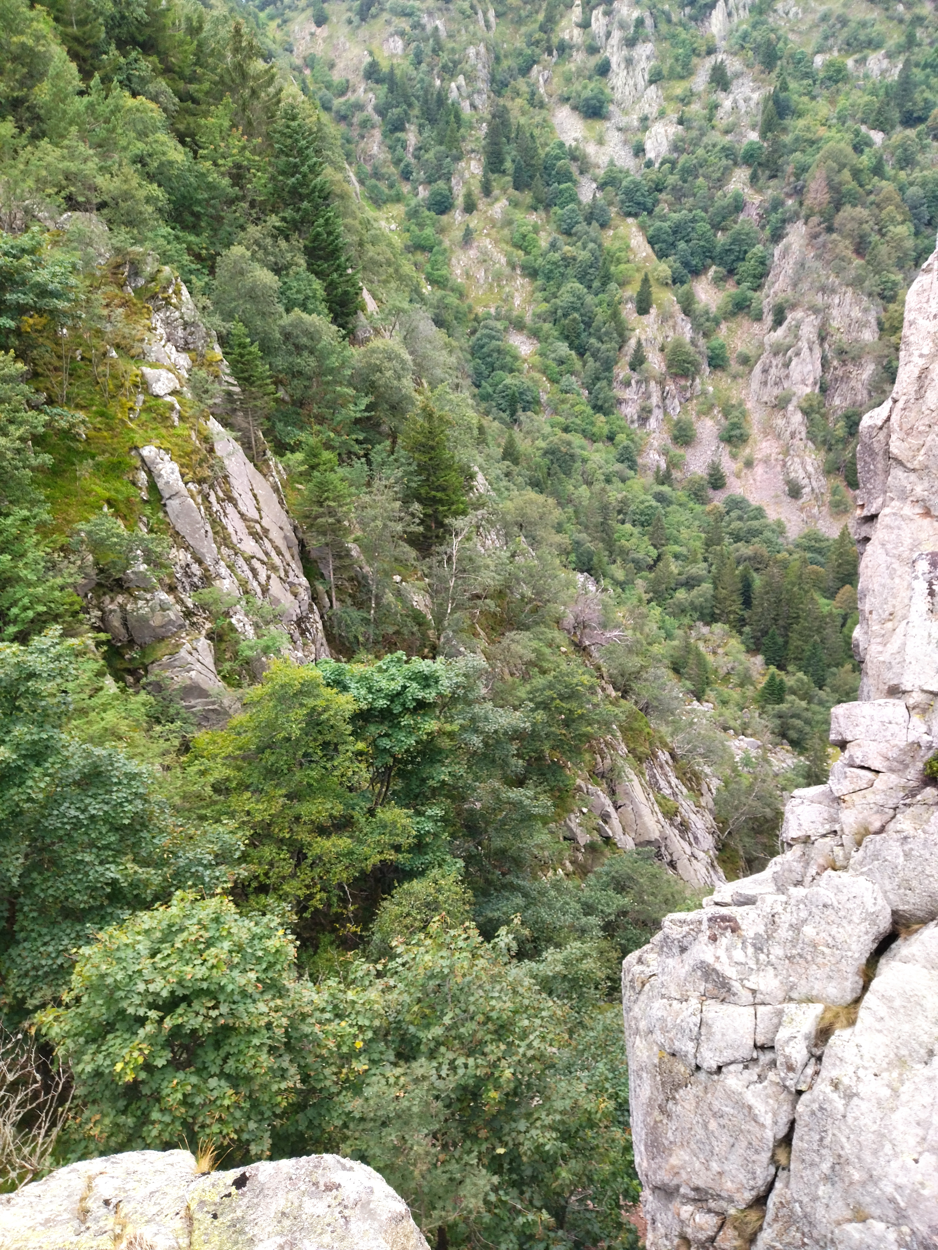 Photo n° 34 de l'avis de MM.u fait le 27/08/2023 à 14:16