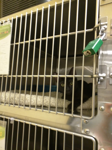 Pet Supply Store «PetSmart», reviews and photos, 105 E N Pointe Dr, Salisbury, MD 21804, USA